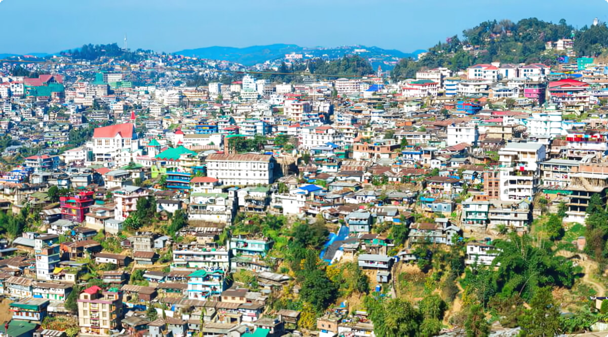 Quali sono le scelte di veicoli più popolari a Kohima?